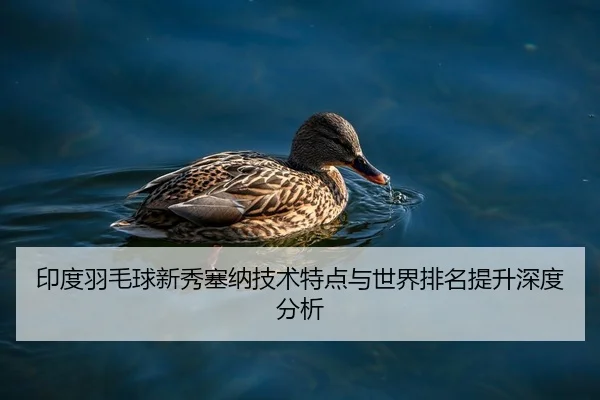 印度羽毛球新秀塞纳技术特点与世界排名提升深度分析